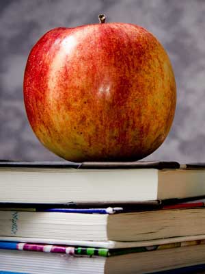 24小时呼叫轰炸神器